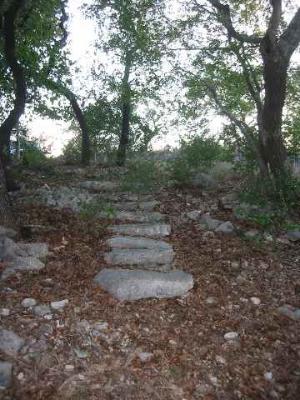 17550 County Road 175 Helotes, TX 78023 - Photo 13 of 16 a view of a yard