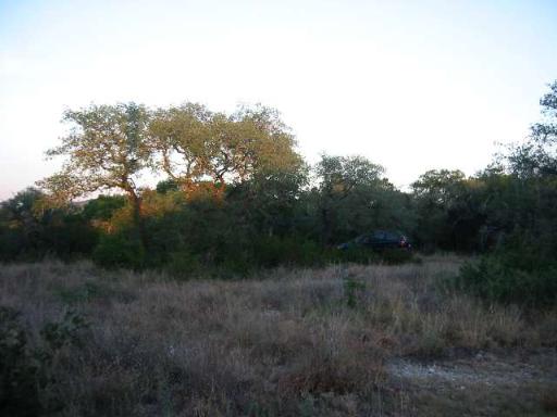 17550 County Road 175 Helotes, TX 78023 - Photo 15 of 16 a view of a dry yard