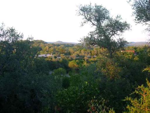 17550 County Road 175 Helotes, TX 78023 - Photo 2 of 16 a view of a city with lush green forest