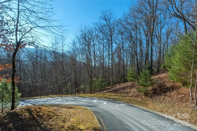 a view of a backyard of the house