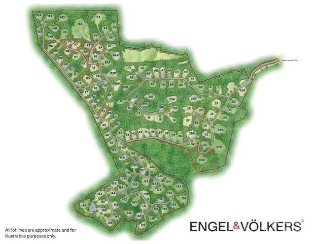 a picture of a tree in a room