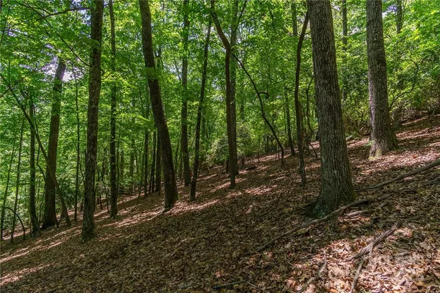 a view of outdoor space and green space