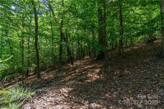 a big yard with lots of green space and deers