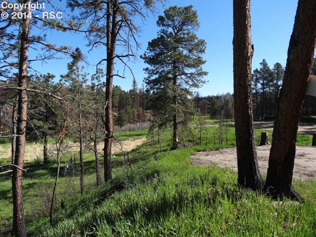 6150 Shoup Road Colorado Springs, CO 80908 - Photo 6 of 25