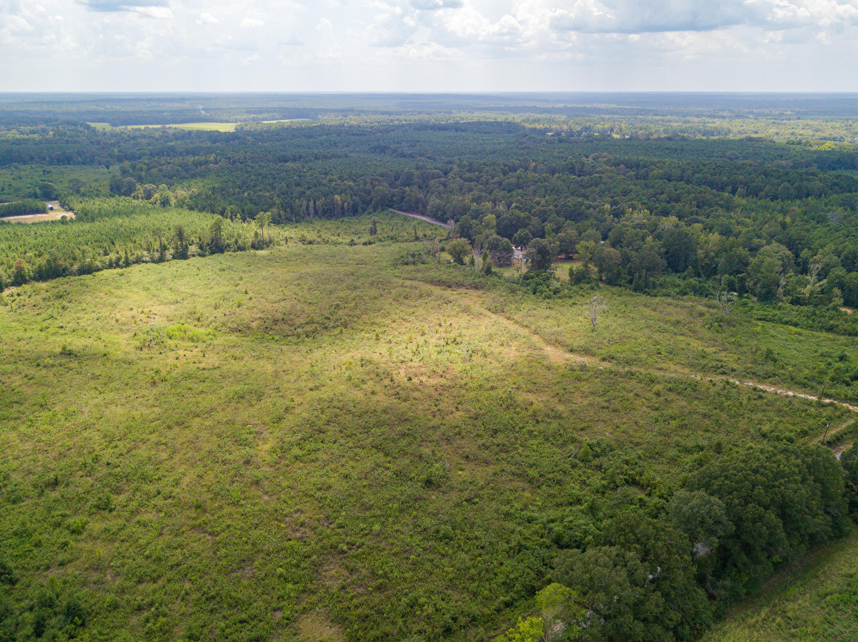 0 Henry Smith Road Tylertown, MS 39667 - Photo 12 of 32 Gallery Image 12