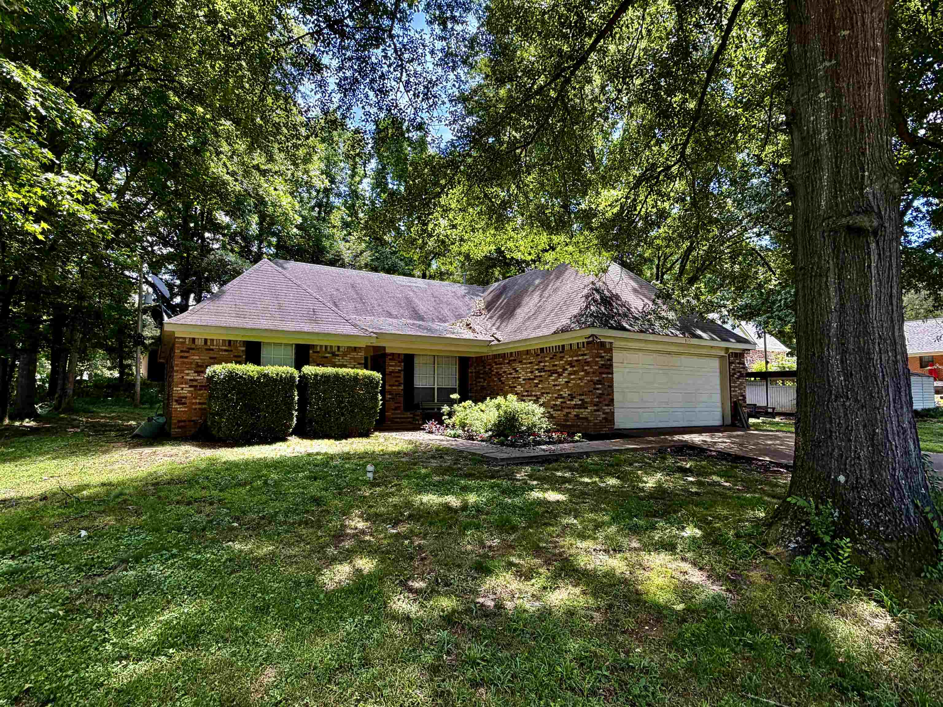 165 Dee Road Somerville, TN 38068 - Photo 1 of 22