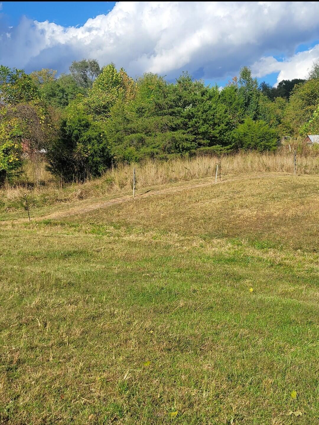 0 Buck Ridge Road Bidwell, OH 45614 - Photo 5 of 6 Land view