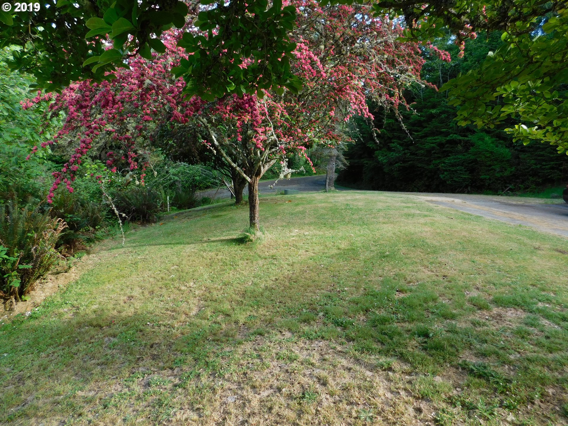 57357 Harlocker Hill Road Coquille, OR 97423 - Photo 25 of 32 Gallery Image 25