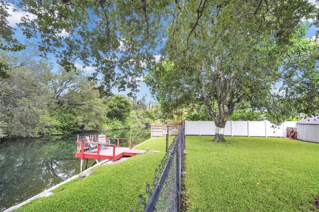 a view of a house with backyard and a tree