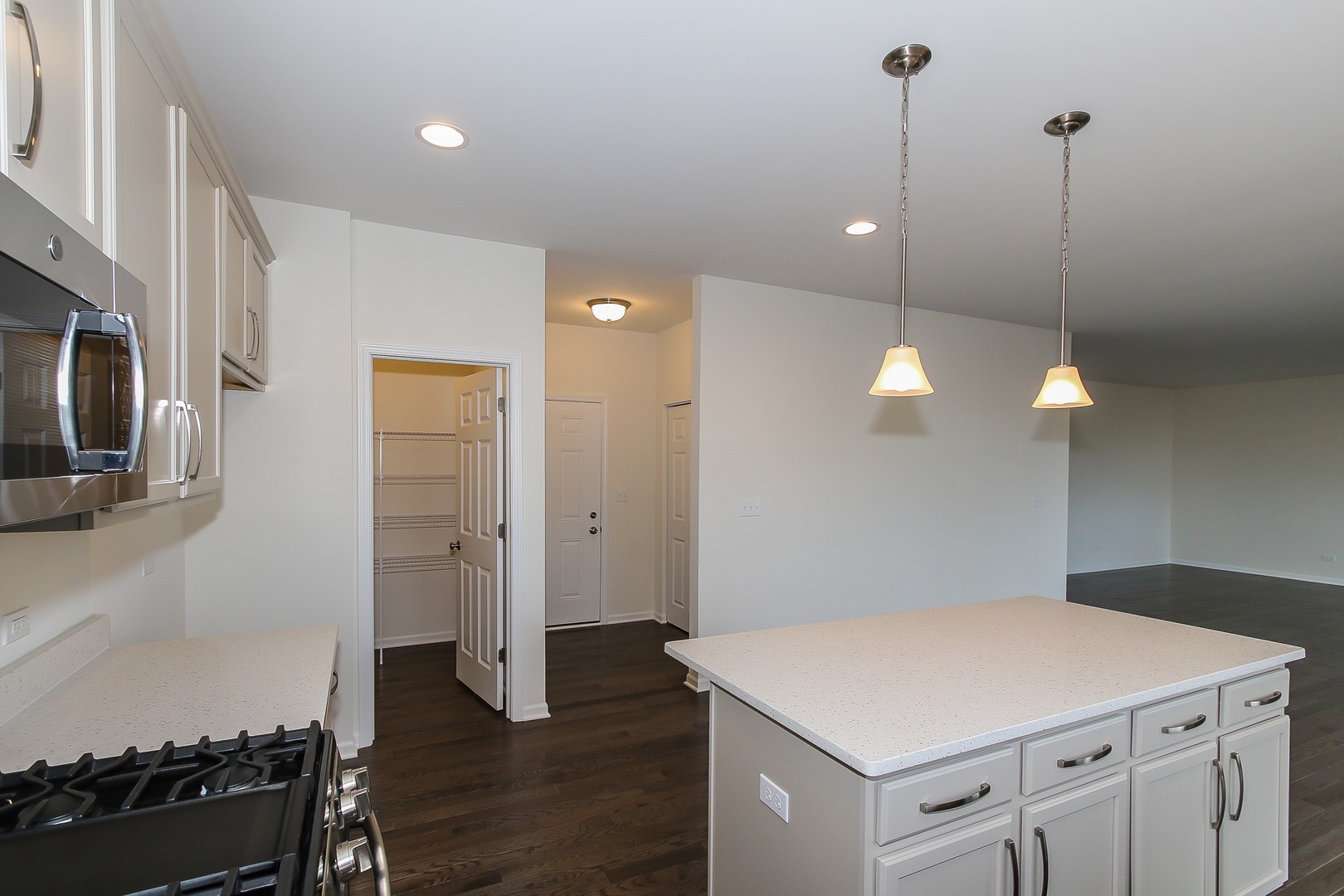 1309 Endicott Road South Elgin, IL 60177 - Photo 8 of 29 a kitchen that has a cabinets a sink and a stove