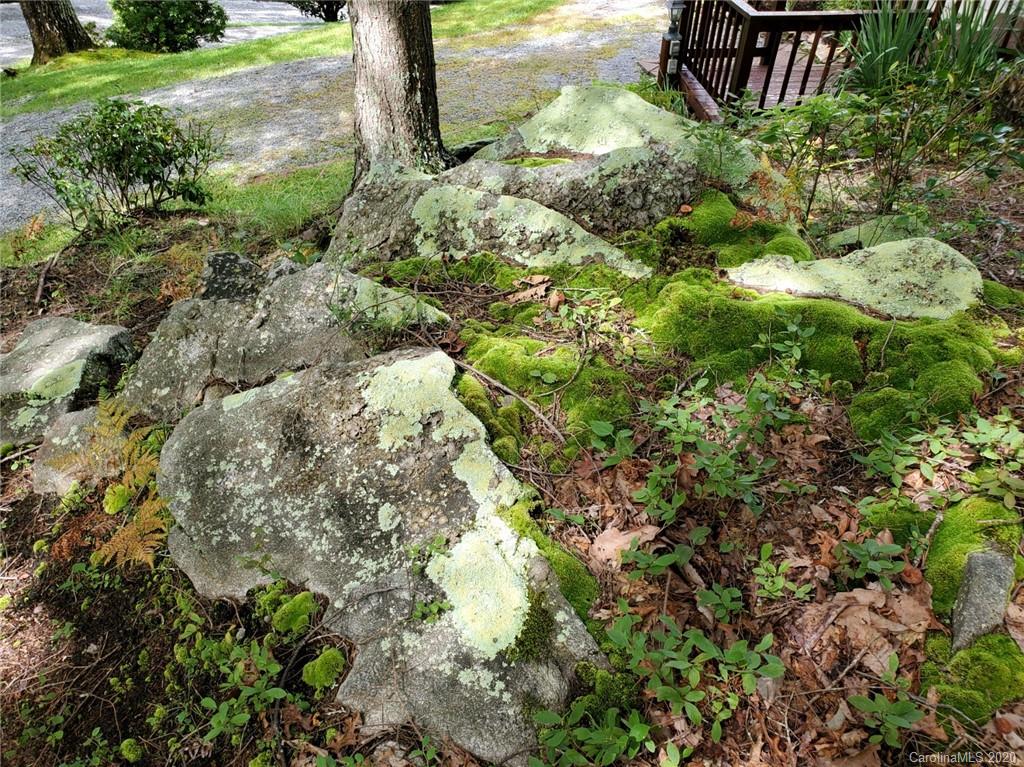 58 Allen Road Brevard, NC 28712 - Photo 38 of 43 Gallery Image 38