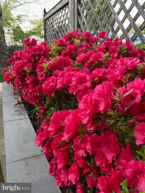 676 Glenmary Road Wayne, PA 19087 - Photo 34 of 38