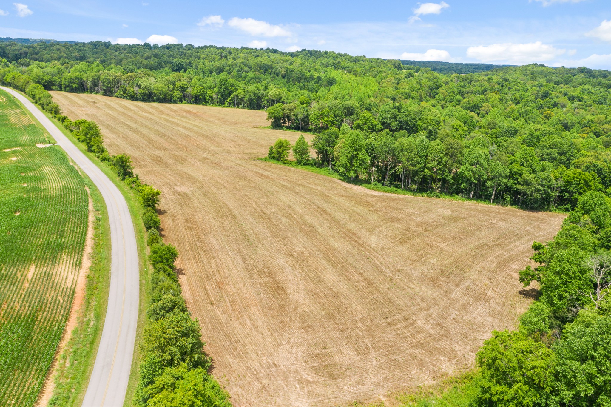 0 Watkins Ford Road Southside, TN 37171 - Photo 8 of 12 a view of a back yard