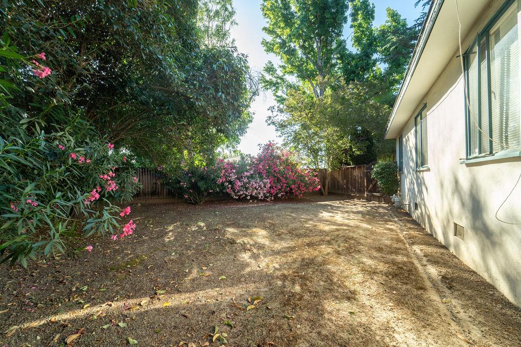 972 Michael Drive Campbell, CA 95008 - Photo 16 of 19 a view of backyard path and trees