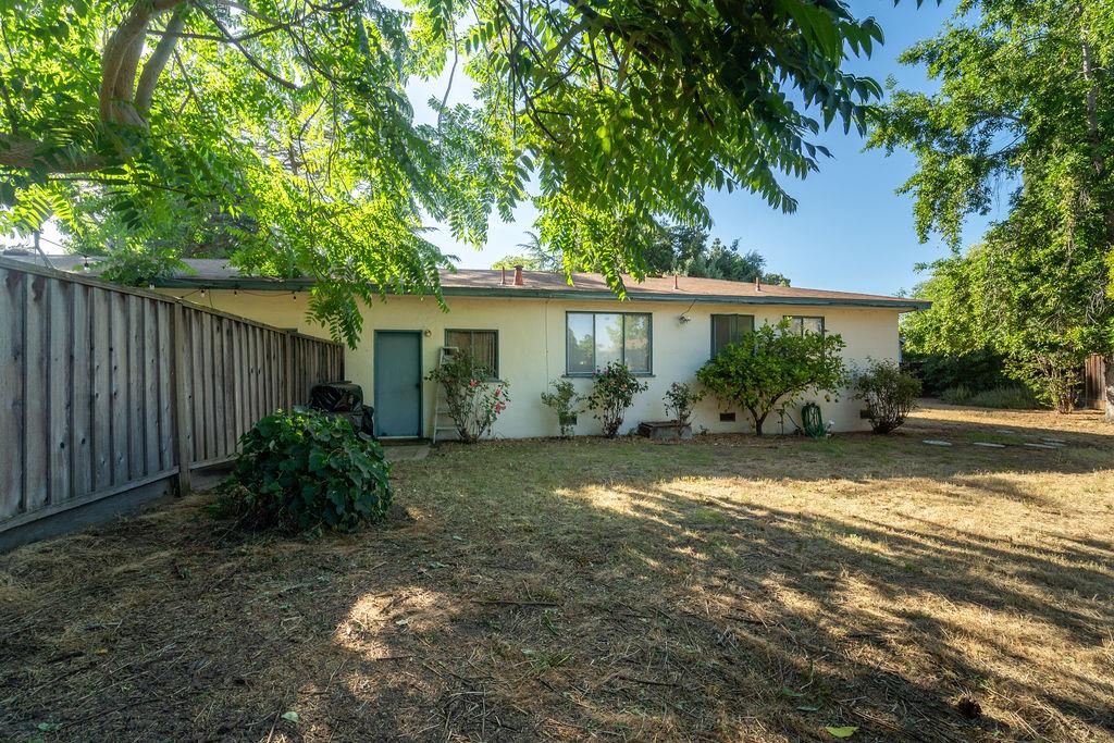 972 Michael Drive Campbell, CA 95008 - Photo 7 of 19 a backyard of a house with plants and tree