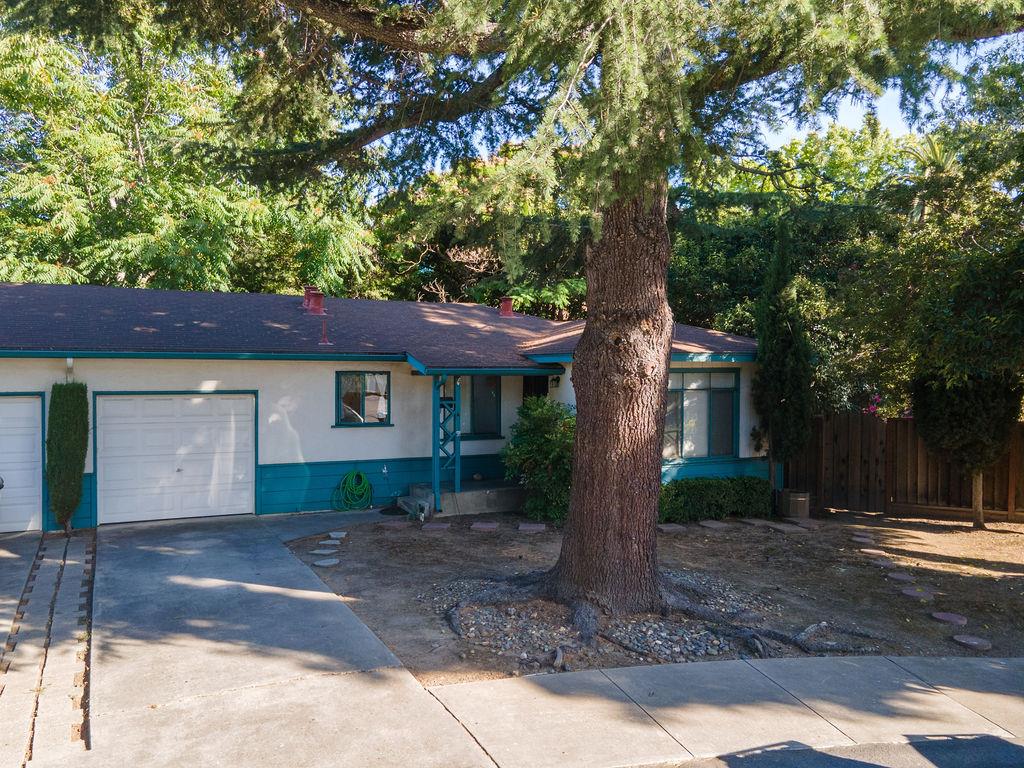 972 Michael Drive Campbell, CA 95008 - Photo 8 of 19 a front view of a house with garden