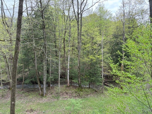 1826 Cardner Road Fabius, NY 13122 - Photo 40 of 50 Limestone Creek is gorgeous and sounds so lovely f