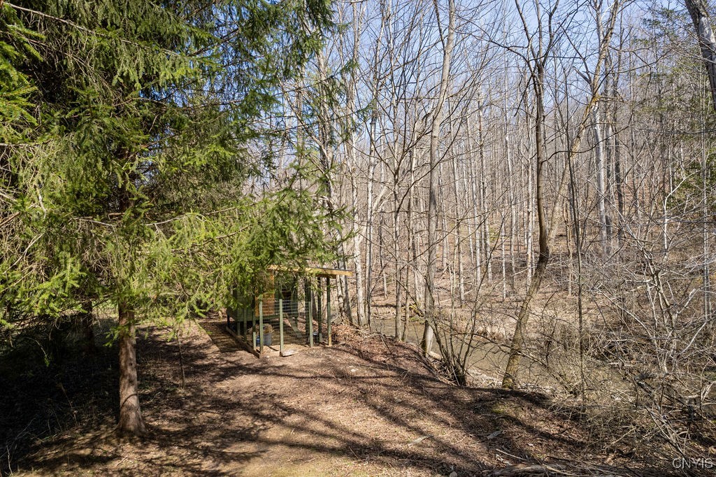 1826 Cardner Road Fabius, NY 13122 - Photo 41 of 50 A very cool chicken coop sits on Limestone Creek's