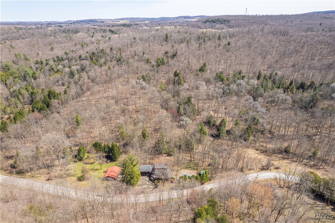 1826 Cardner Road Fabius, NY 13122 - Photo 49 of 50