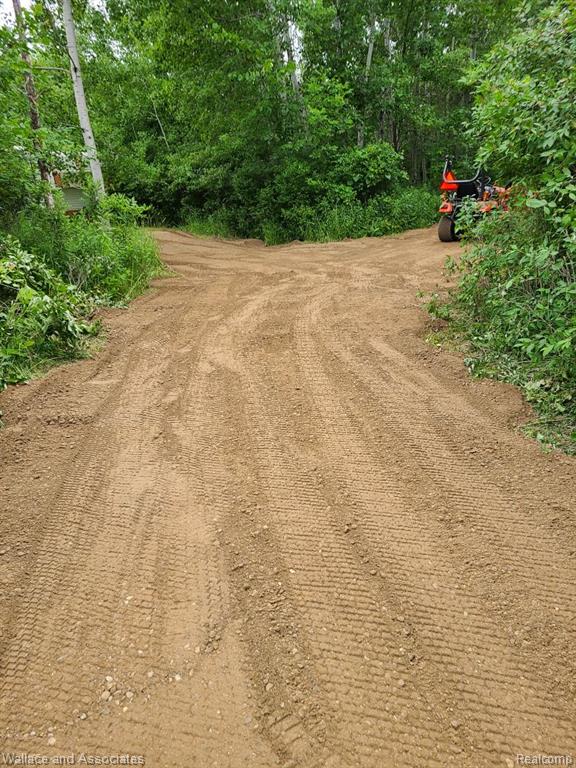 0 Hadley Road Decker, MI 48426 - Photo 11 of 18
