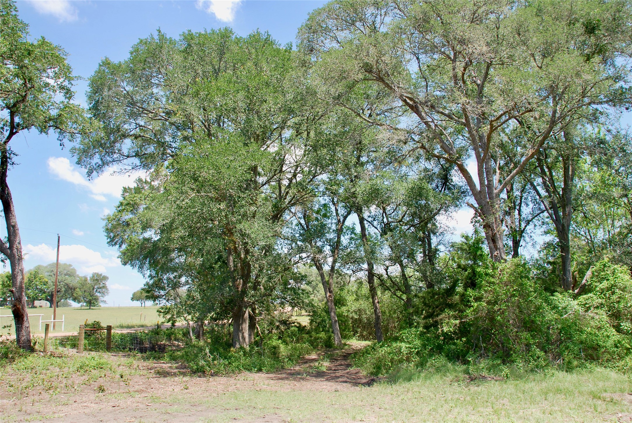 2340 Langdon Road Weimar, TX 78962 - Photo 13 of 26
