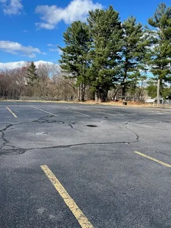 a view of a yard with a tree