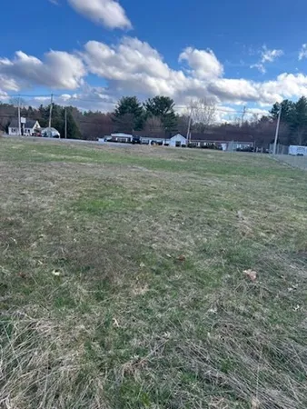 a view of large trees with a big yard