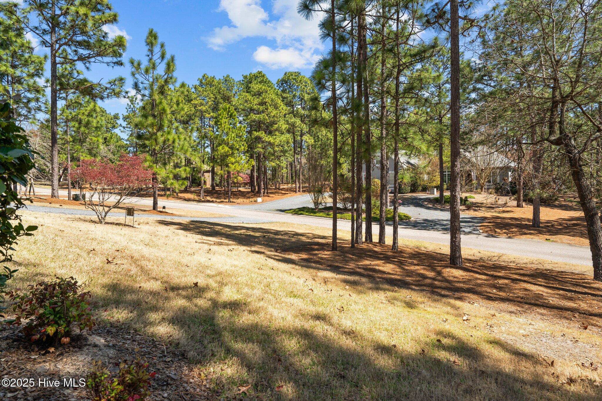 110 Fox Den Drive West End, NC 27376 - Photo 52 of 68 53-web-or-mls-DSC05464