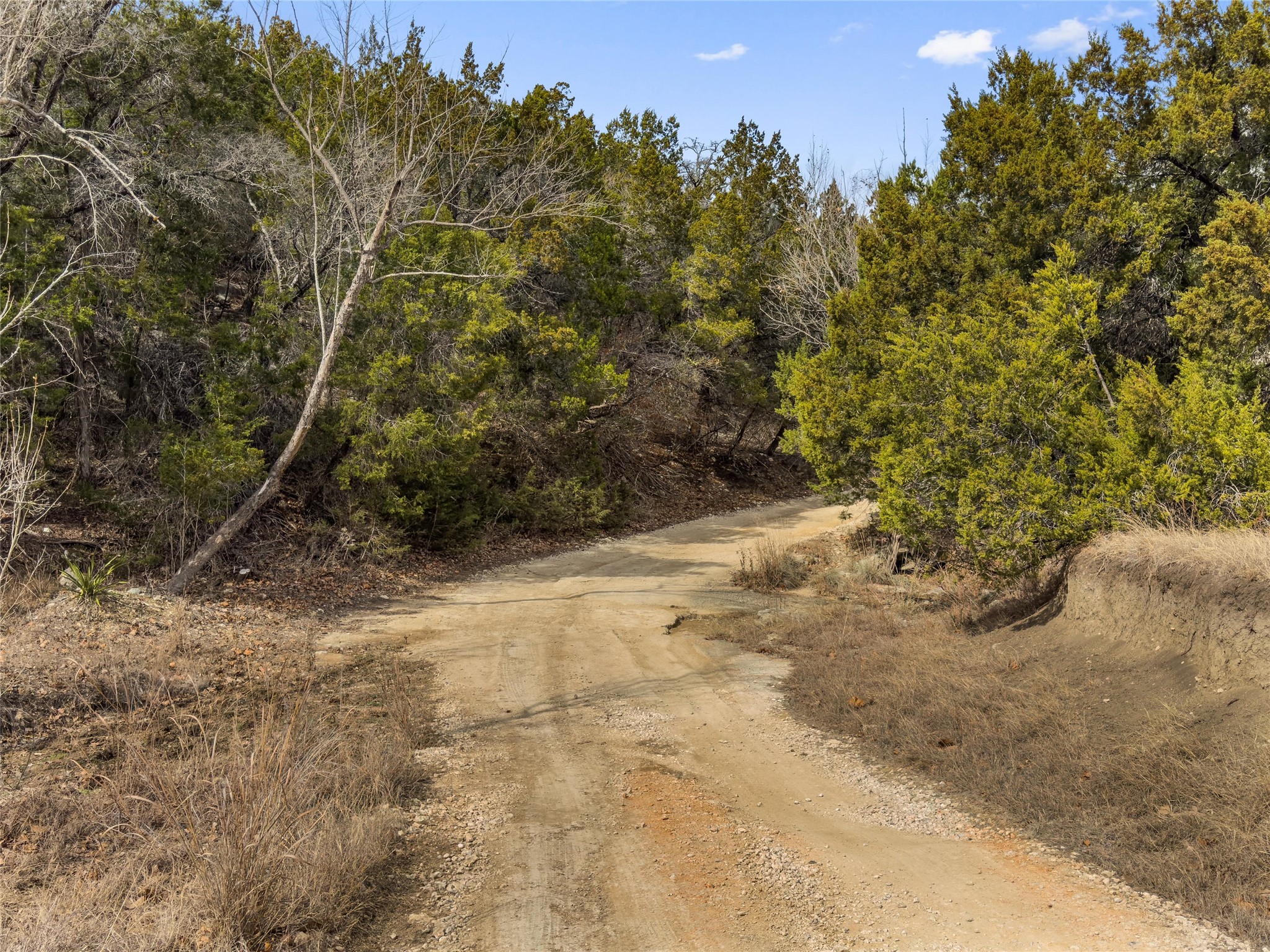 720 Circle G Ranch Road Austin, TX 78737 - Photo 37 of 37 a view of a yard with a tree