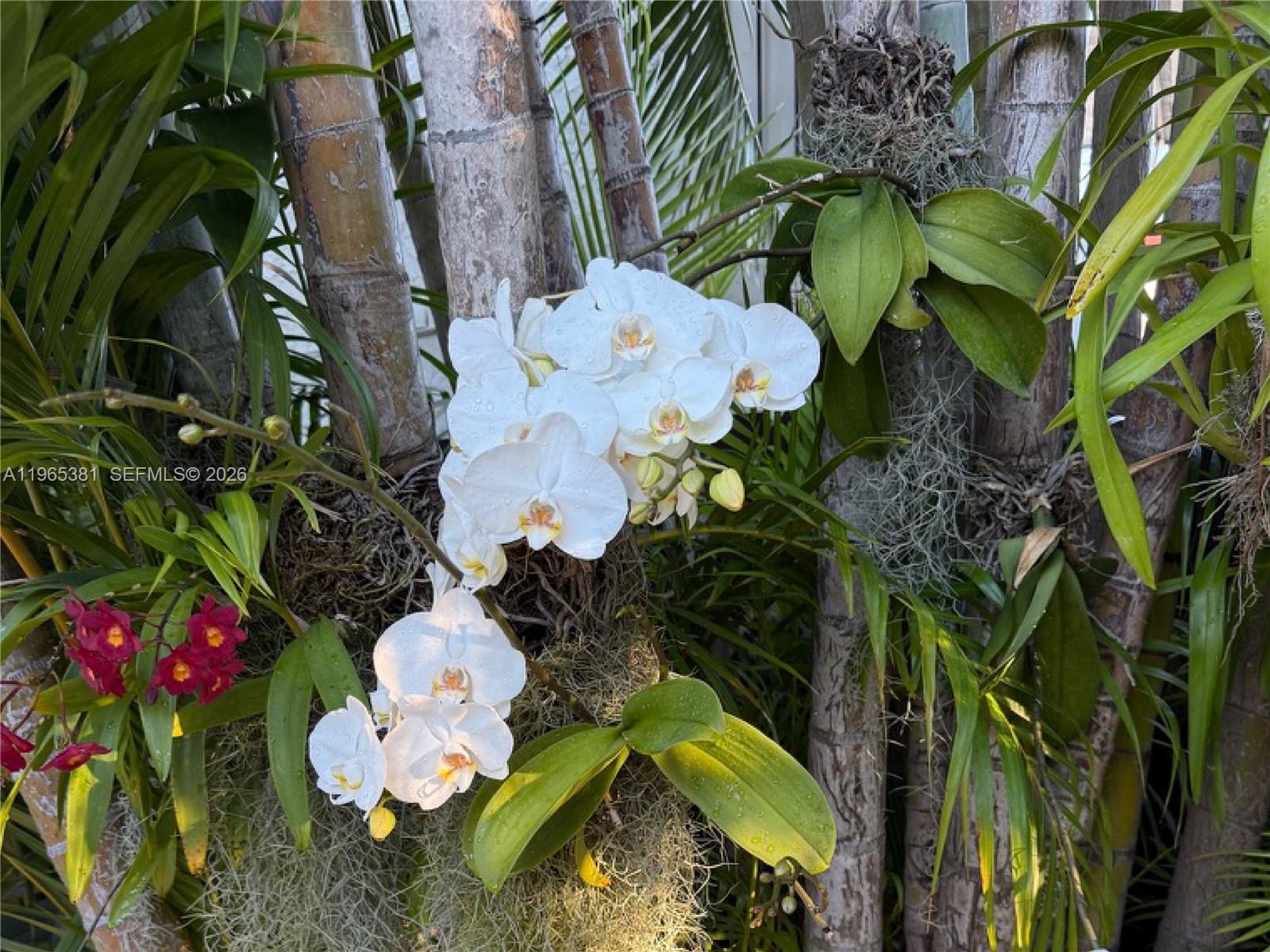 1737 Southwest 10th Street Miami, FL 33135 - Photo 48 of 51