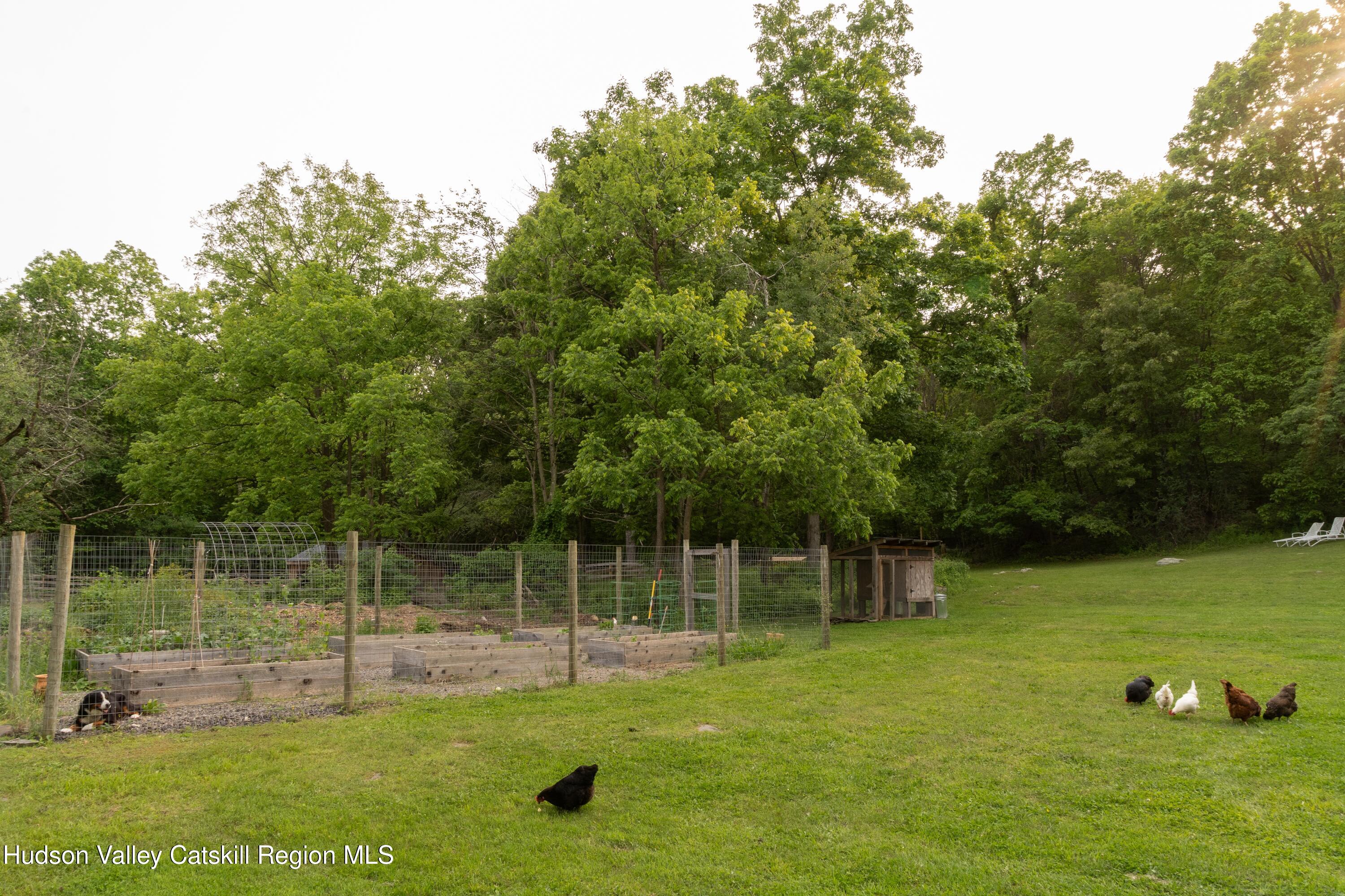203 Doman Road Freehold, NY 12431 - Photo 20 of 23 19_203 Doman Rd_Nico