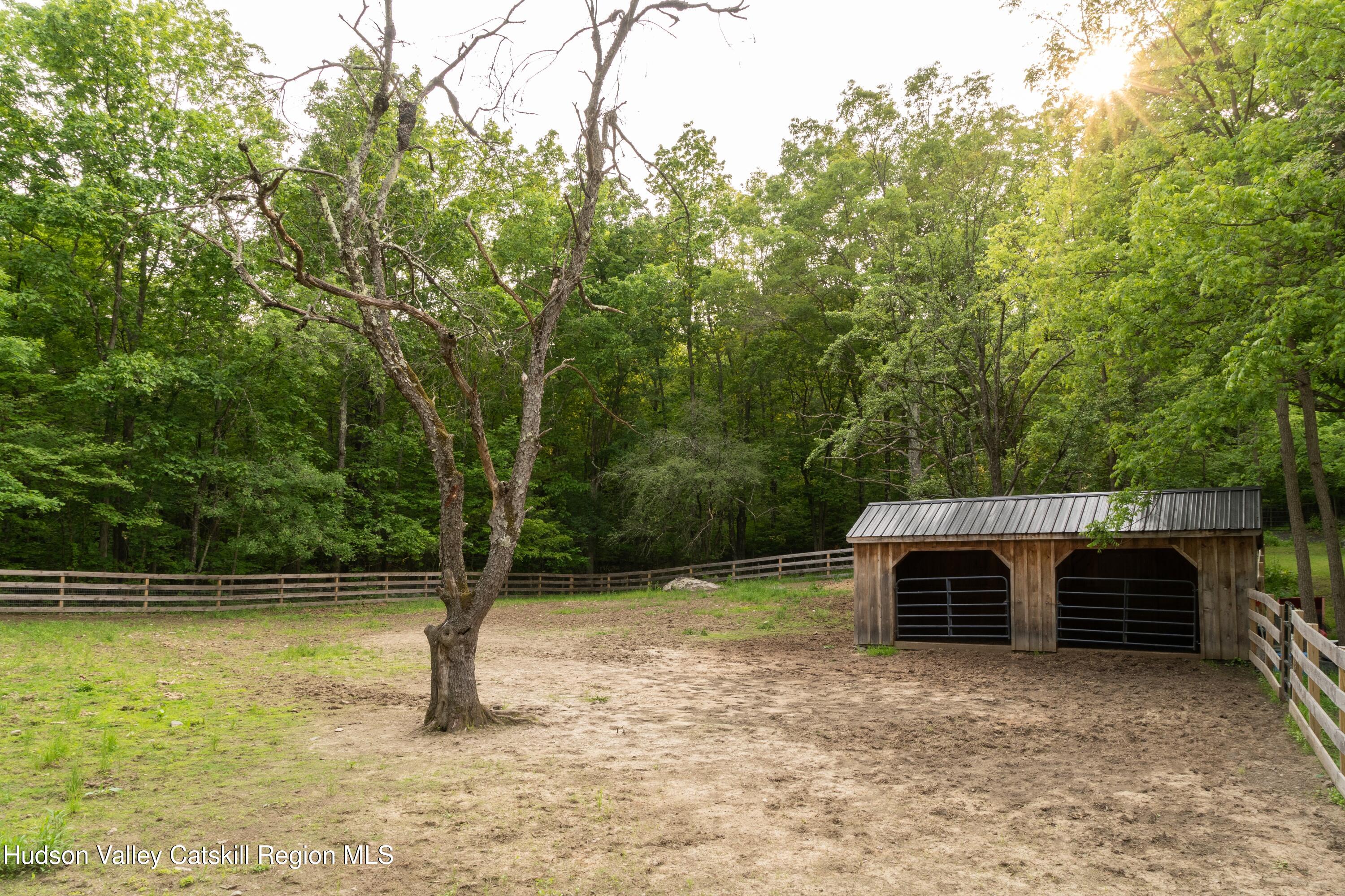 203 Doman Road Freehold, NY 12431 - Photo 21 of 23 18_203 Doman Rd_Nico