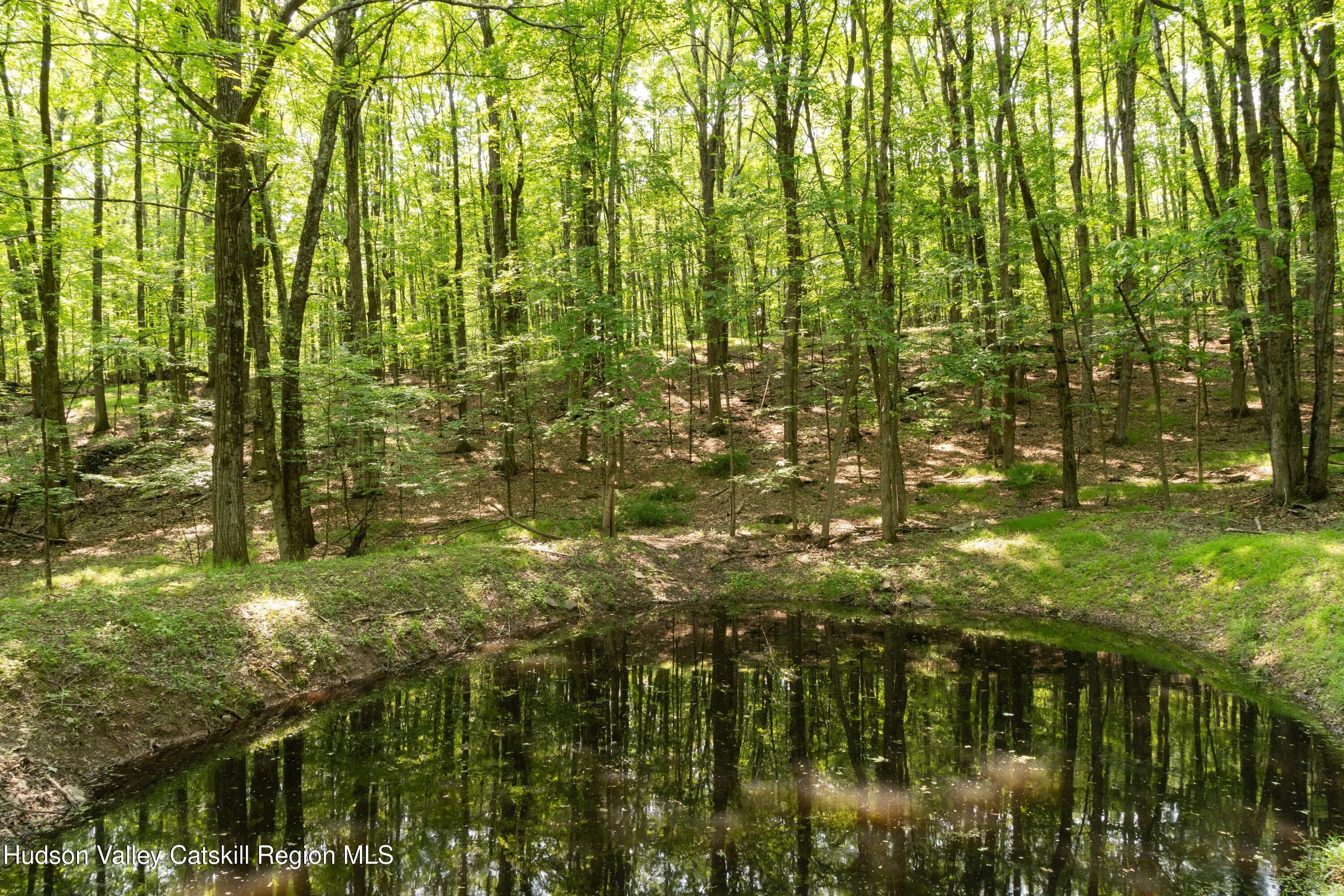 203 Doman Road Freehold, NY 12431 - Photo 22 of 23 07_203 Doman Rd_Nico