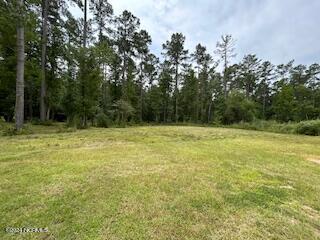 3003 Verdant Ridge New Bern, NC 28562 - Photo 2 of 11 lot 10 b