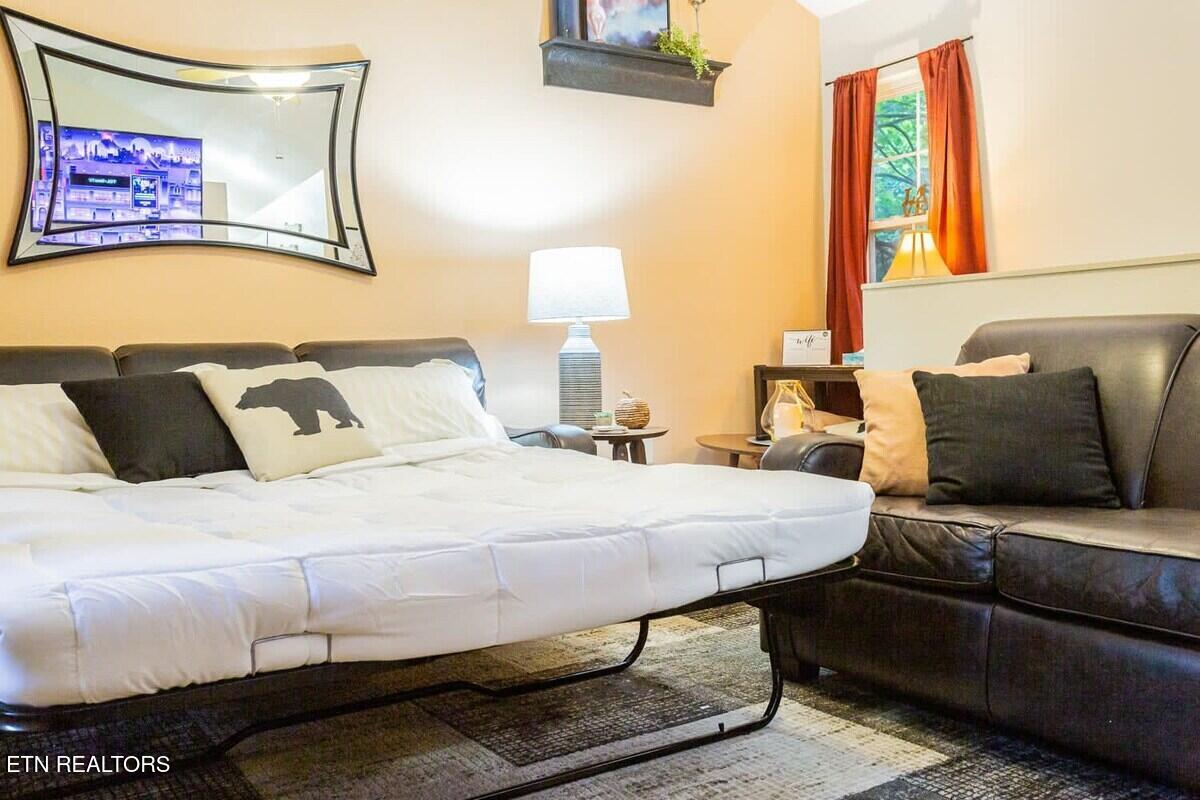 516 Proffitt Road, Unit 2 Gatlinburg, TN 37738 - Photo 33 of 57 original_649412745891348415_1423810769