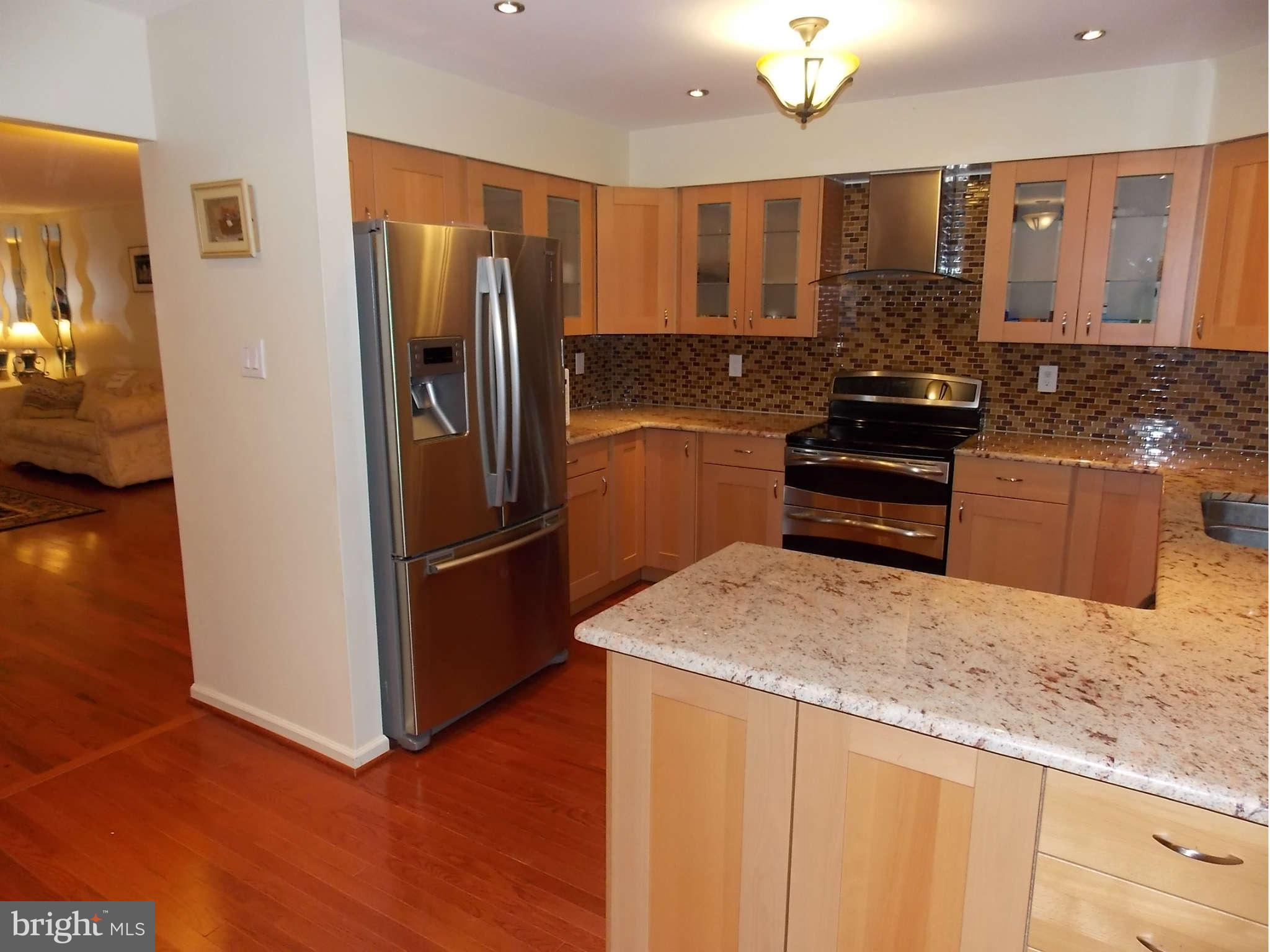 6188 Good Hunters Ride Columbia, MD 21045 - Photo 3 of 28 Kitchen granite