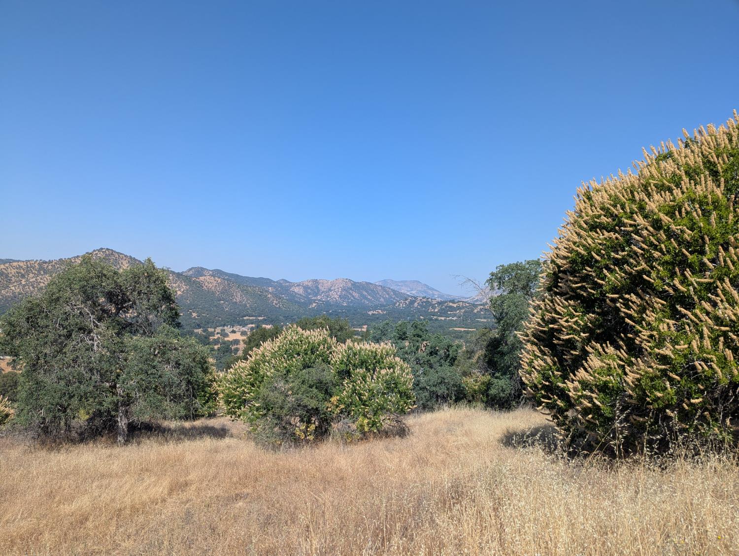 4 Millwood Road Dunlap, CA 93621 - Photo 1 of 9 Gallery Image 1