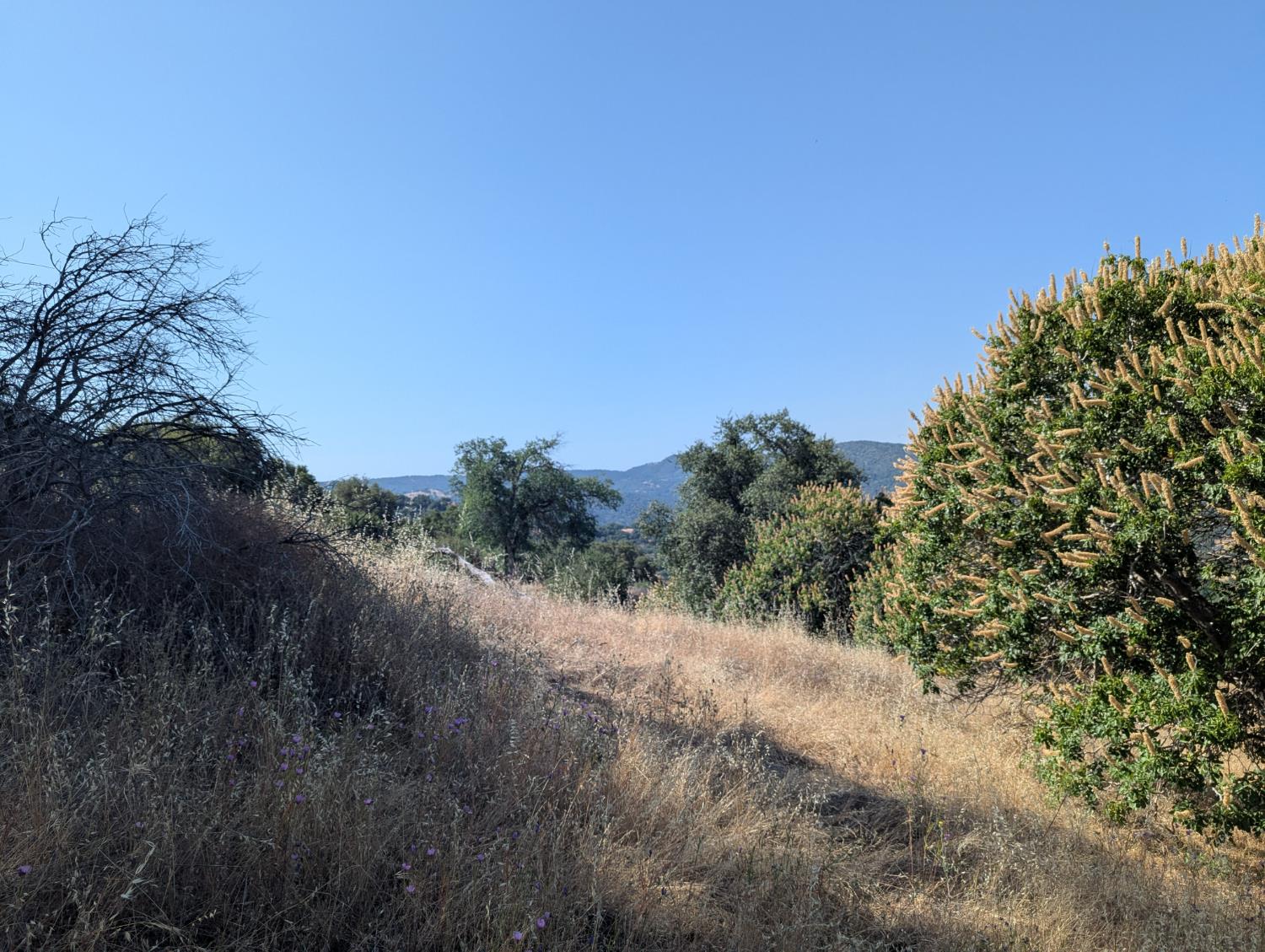 4 Millwood Road Dunlap, CA 93621 - Photo 7 of 9 Gallery Image 7