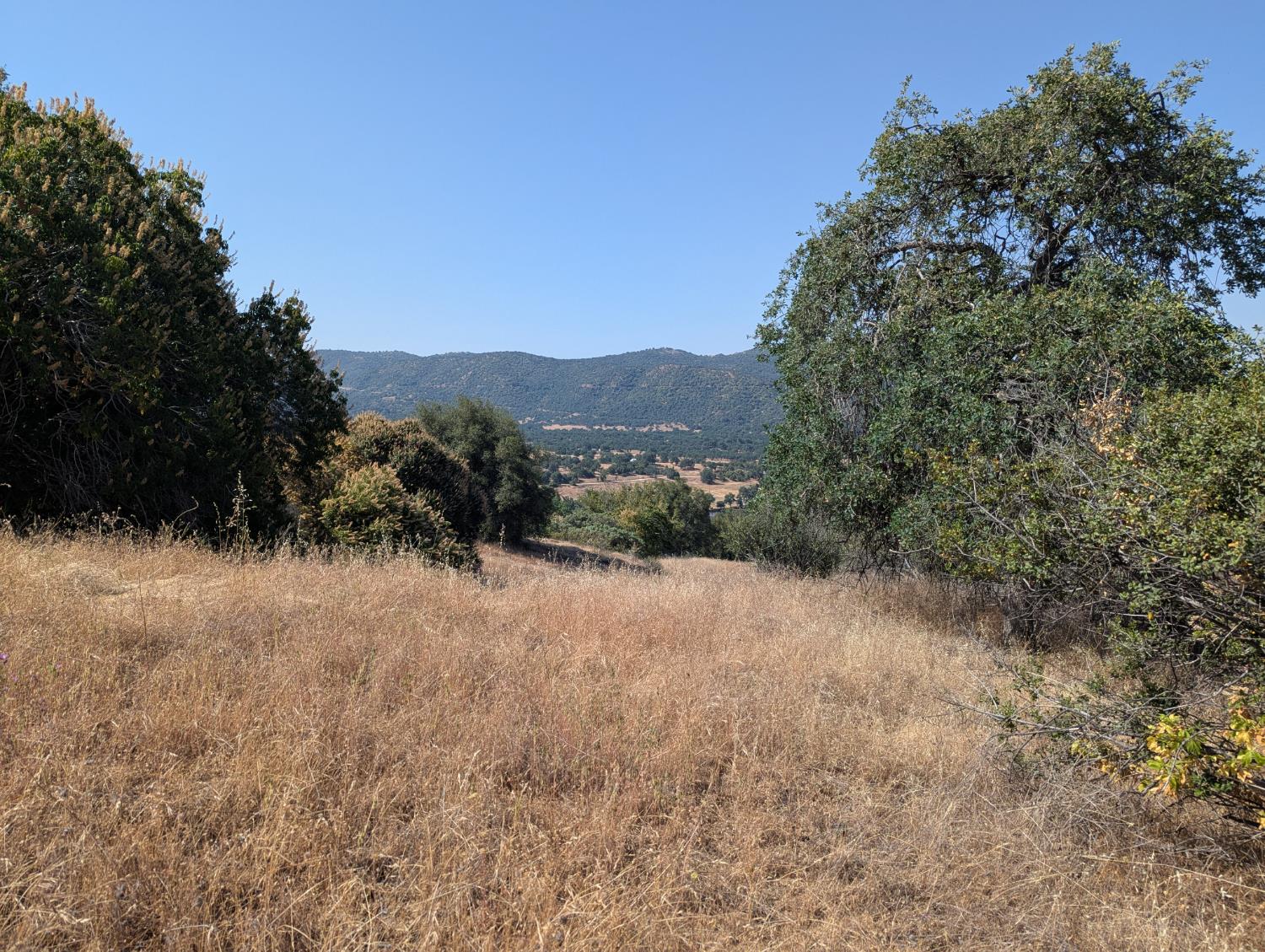 4 Millwood Road Dunlap, CA 93621 - Photo 9 of 9 Gallery Image 9