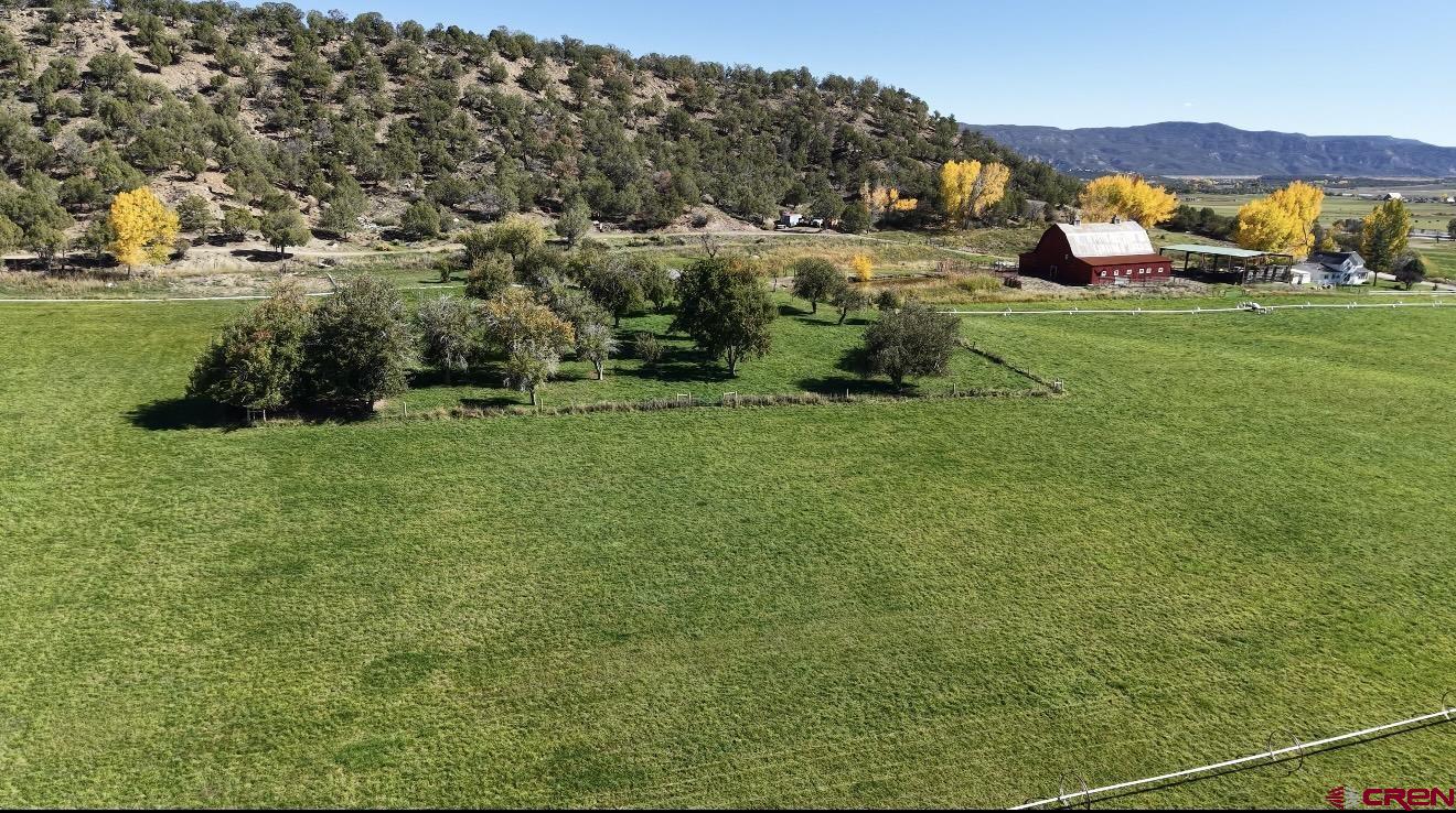 3115 Cr 973 Ignacio, CO 81137 - Photo 12 of 45 a view of a house with a big yard