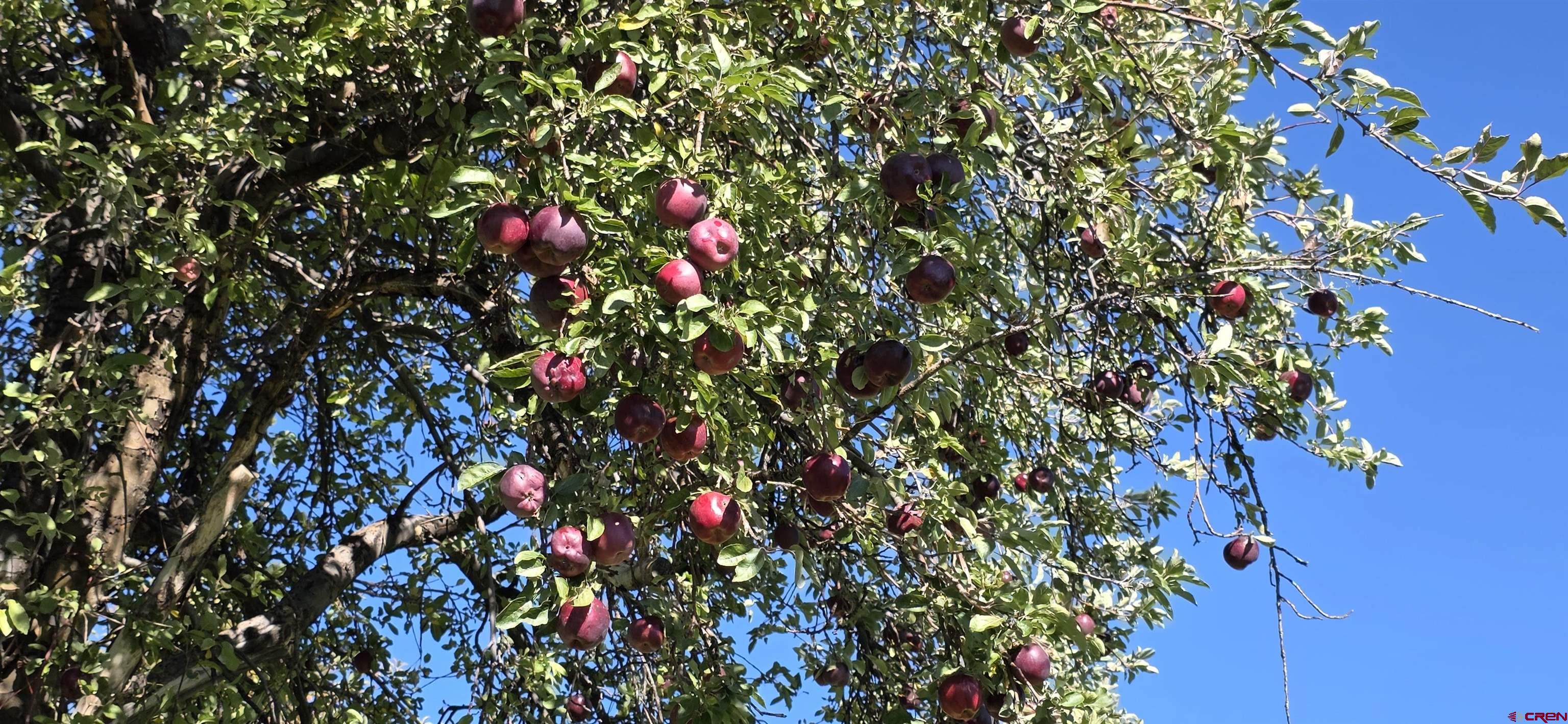 3115 Cr 973 Ignacio, CO 81137 - Photo 13 of 45