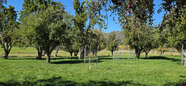 a view of outdoor space and yard