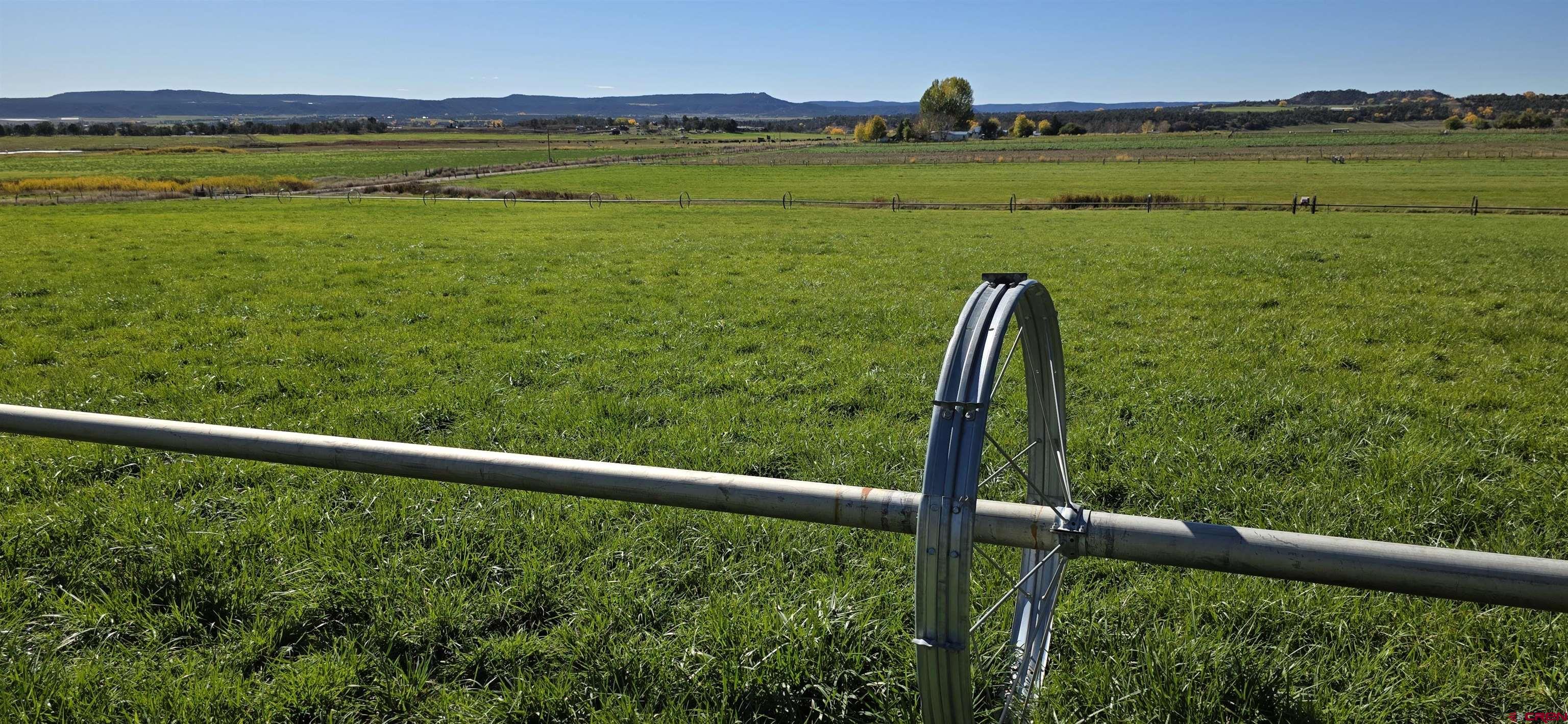 3115 Cr 973 Ignacio, CO 81137 - Photo 15 of 45 a view of outdoor space and yard
