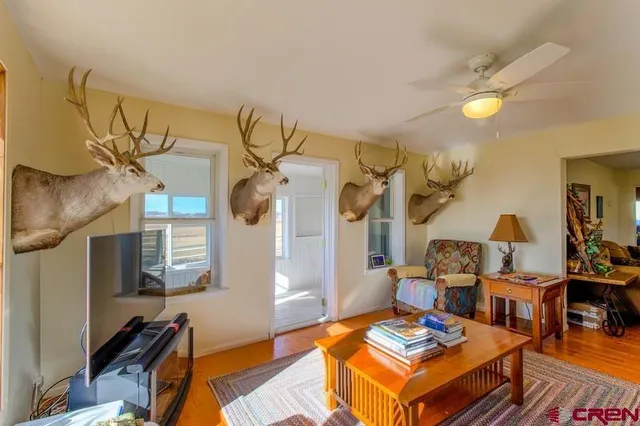 a bedroom with a bed and a mirror