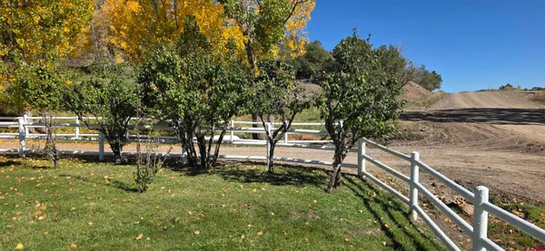 a view of a garden with trees