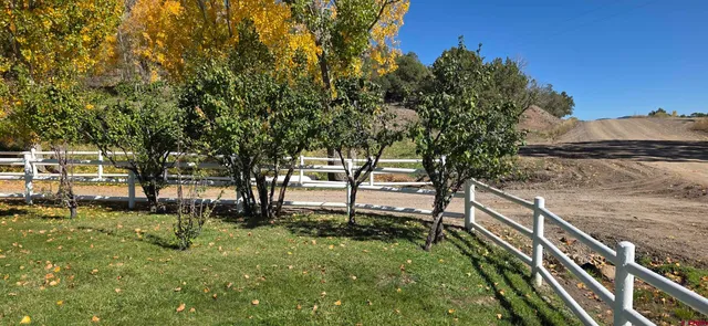 a view of a garden with trees