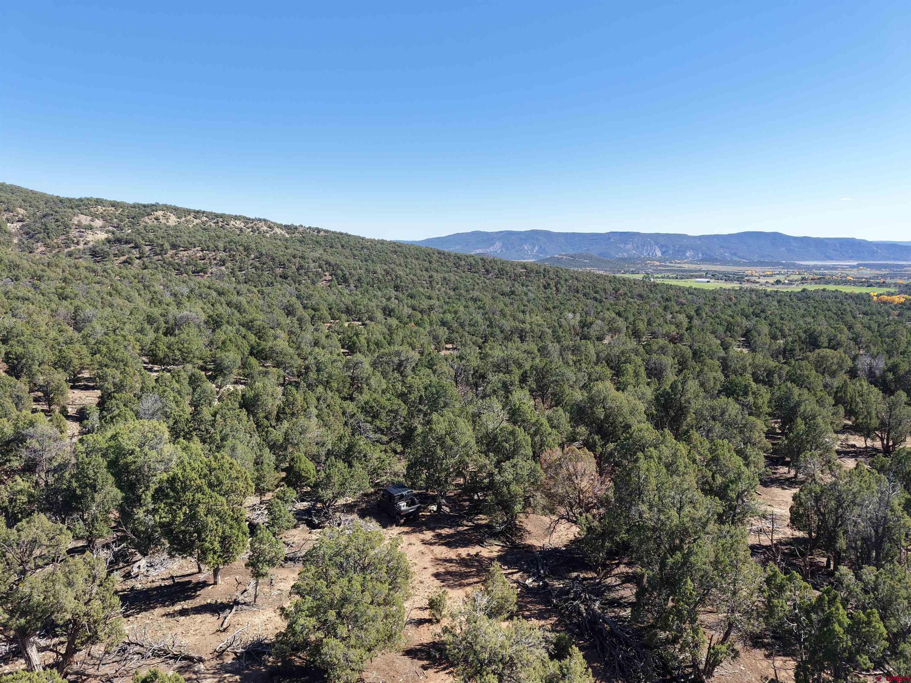 3115 Cr 973 Ignacio, CO 81137 - Photo 38 of 45 a view of a mountain