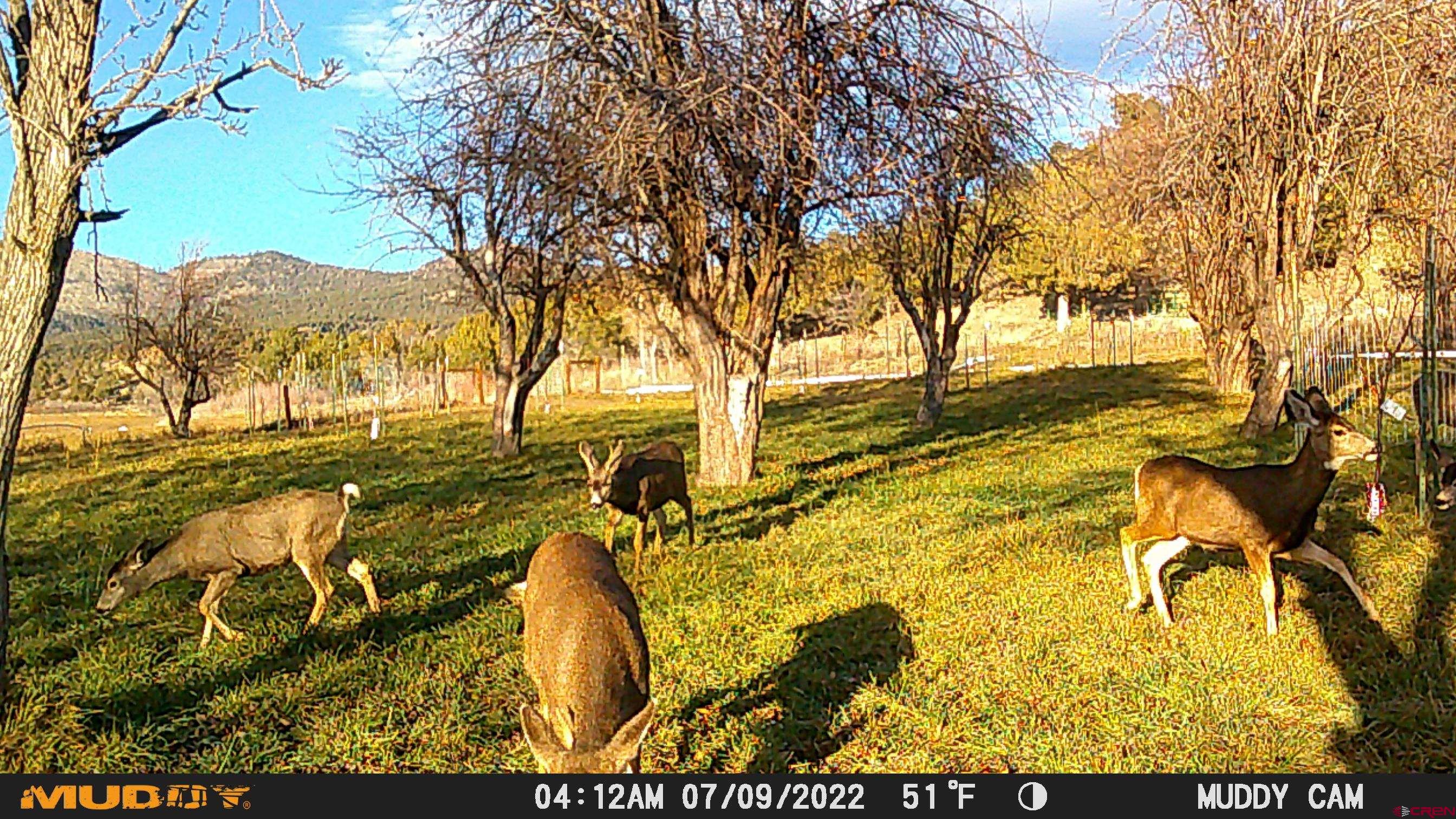 3115 Cr 973 Ignacio, CO 81137 - Photo 42 of 45 a view of swimming pool