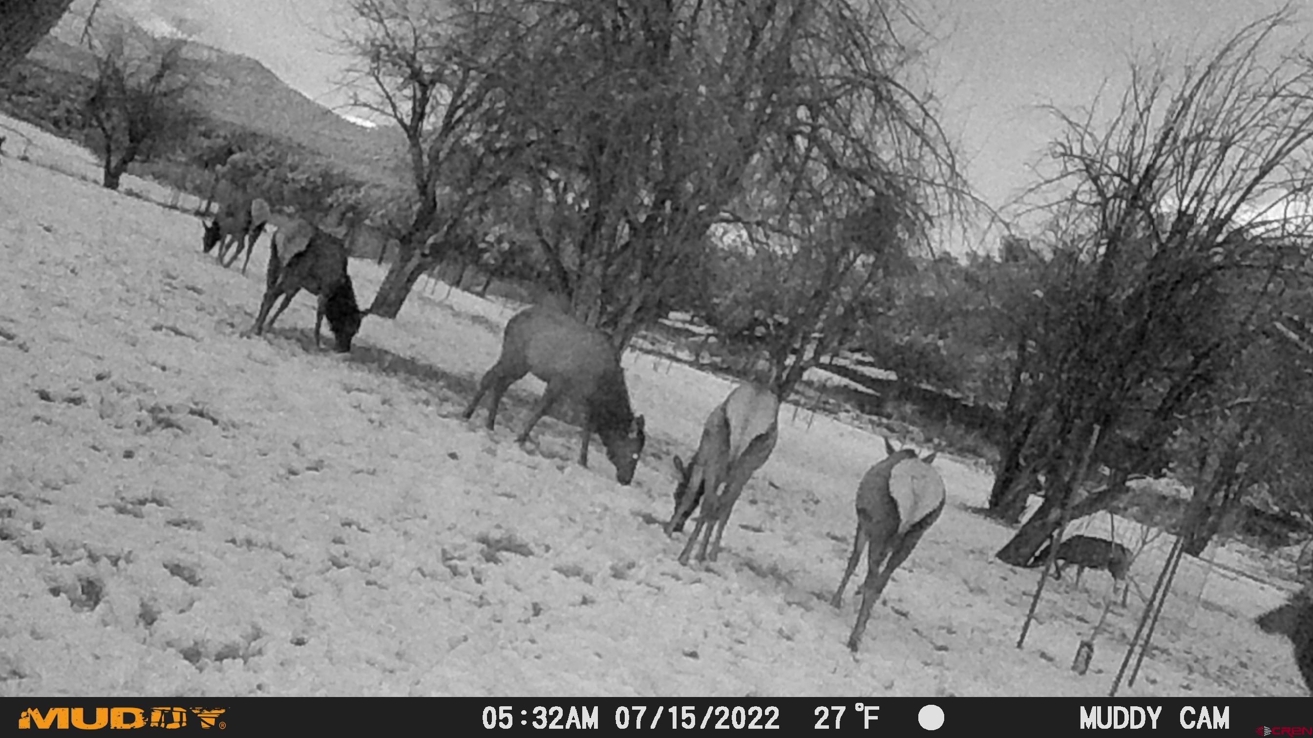 3115 Cr 973 Ignacio, CO 81137 - Photo 45 of 45 a view of yard