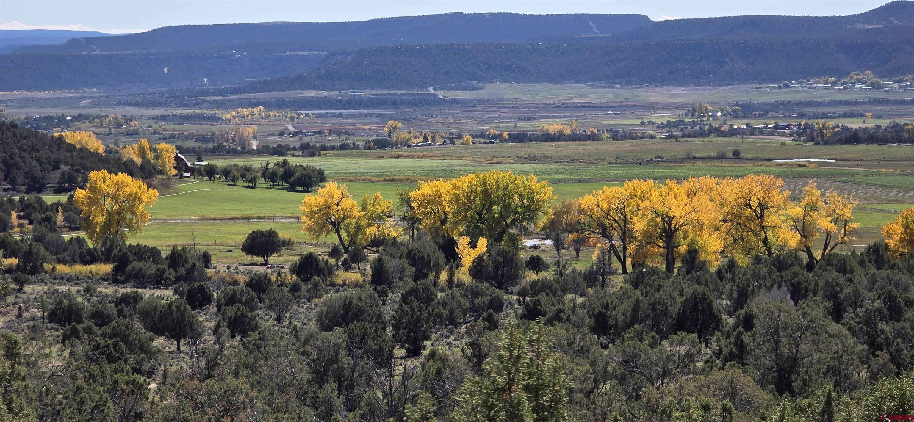3115 Cr 973 Ignacio, CO 81137 - Photo 9 of 45 a view of a lake with mountains in the background